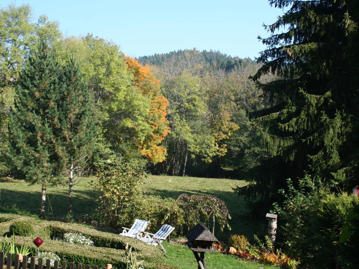 Cozy Holiday Apartment In The Black Forest Dachsberg im Schwarzwald Exteriér fotografie