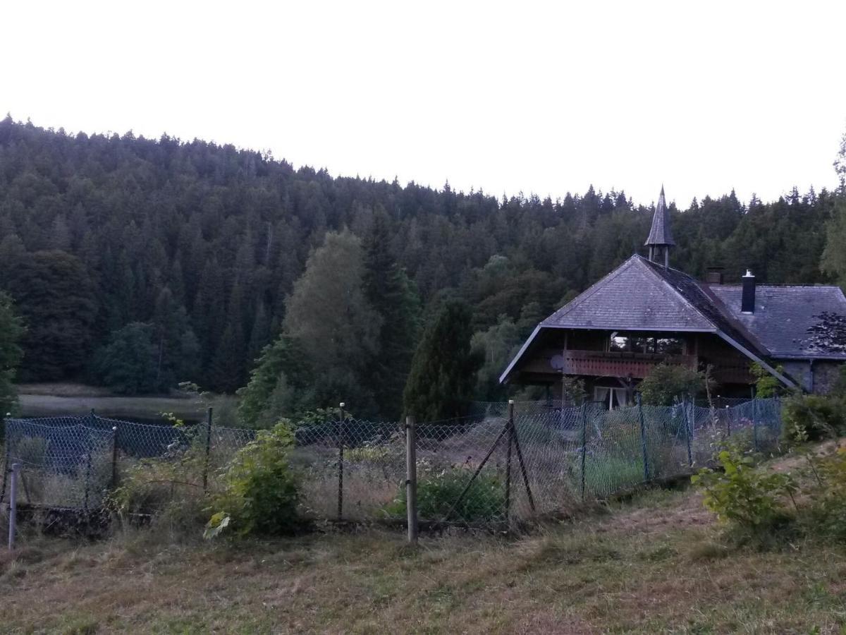 Cozy Holiday Apartment In The Black Forest Dachsberg im Schwarzwald Exteriér fotografie