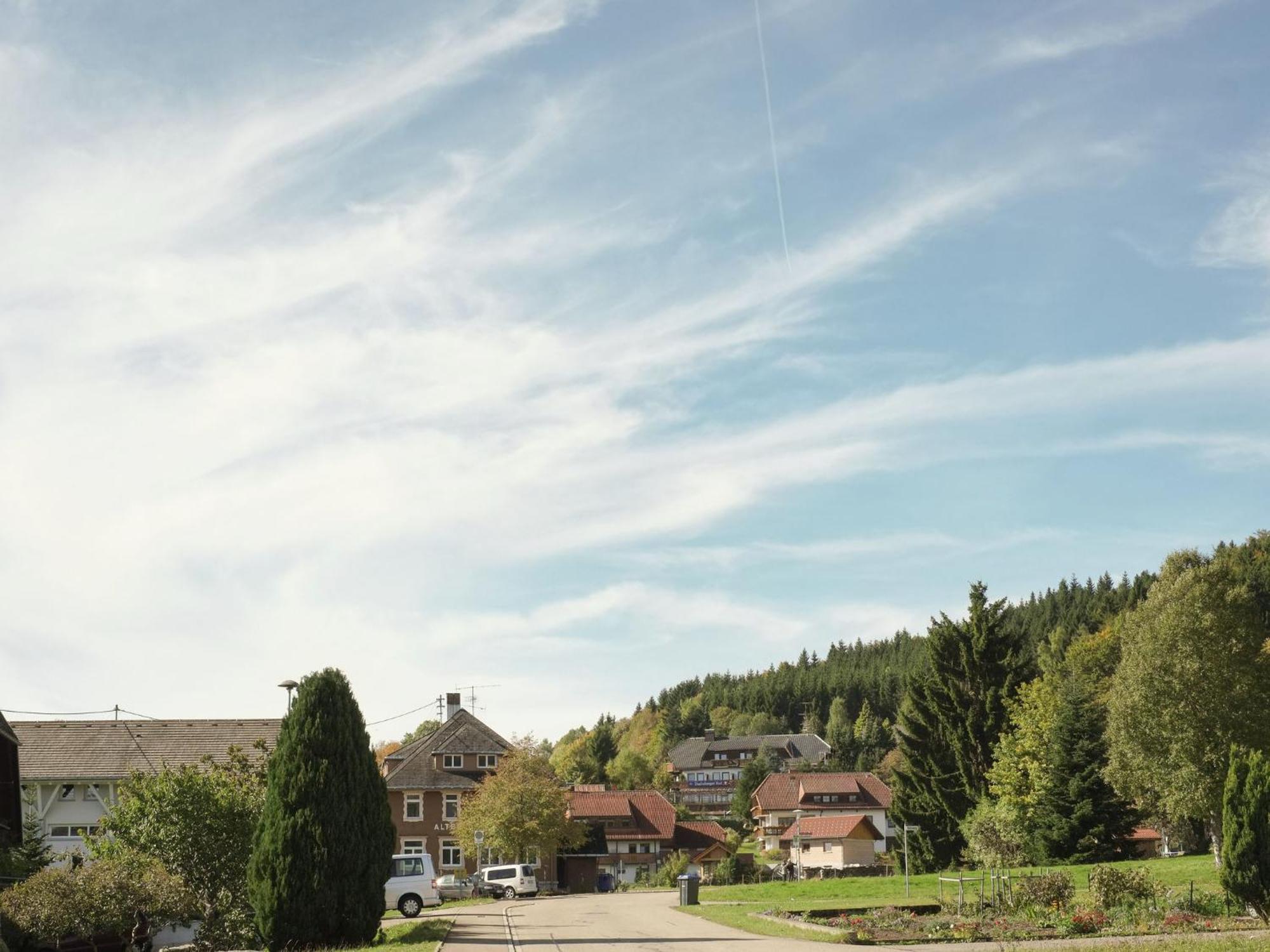Cozy Holiday Apartment In The Black Forest Dachsberg im Schwarzwald Exteriér fotografie